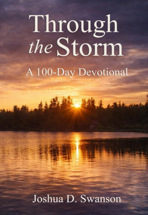 Through the Storm: A 100-Day Devotional